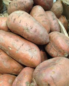 Sweet Potatoes are exempt from the Produce Safety Rule